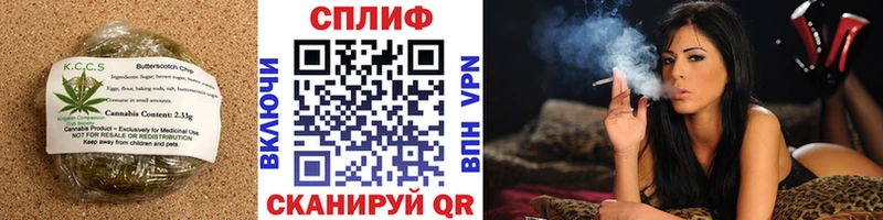Cannafood конопля  Купить где  Куса 