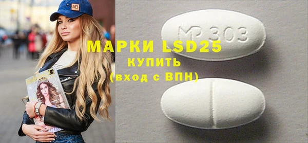 индика Аркадак
